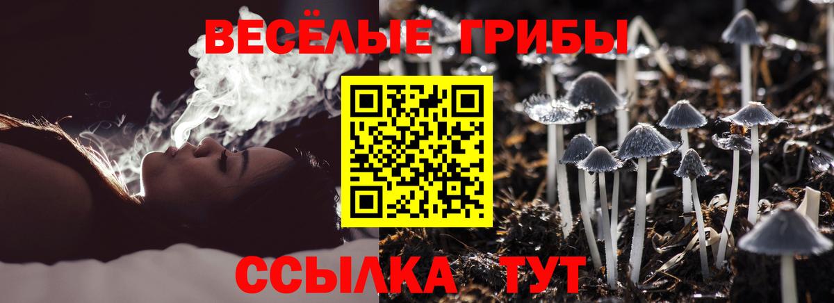 Галлюциногенные грибы мицелий  купить   Холмск  Вход с VPN  Псилоцибиновые грибы мицелий 